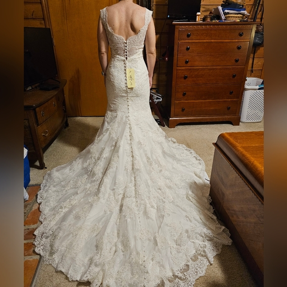 Allure Bridals Lace Wedding dress with sleeve, mermaid style 9322 - Picture 3 of 16